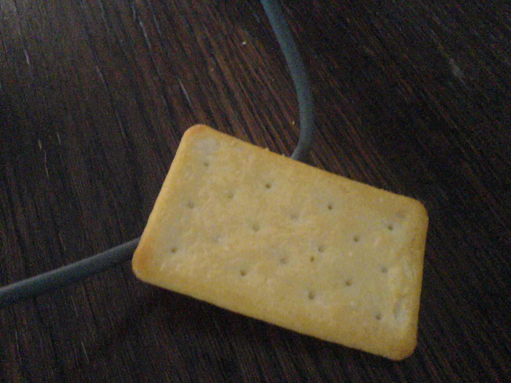 Saltinen lägger en kabel.